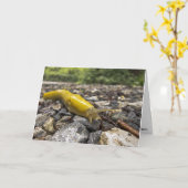 バナナスラグノートカード カード (黄色い花)