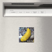 バナナスラグ磁石 マグネット (インサイチュ (食洗機))