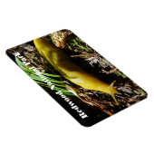 バナナスラッグ マグネット (右側)