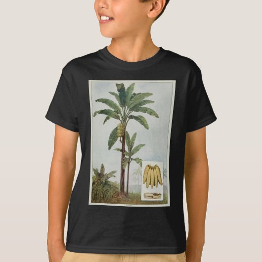 バナナツリーイラストレーション Tシャツ (正面)