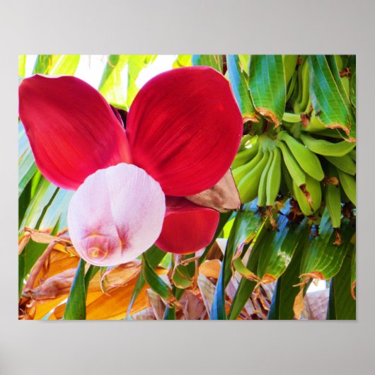 バナナツリーブリス ポスター (正面)