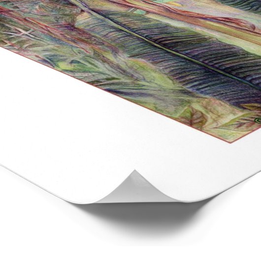 バナナツリー© 2010 ポスター (角)