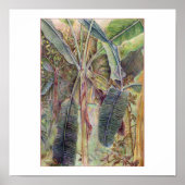 バナナツリー© 2010 ポスター (正面)