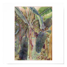 バナナツリー© 2010