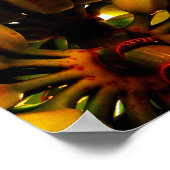 バナナバンチ ポスター (角)