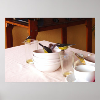 バナナビットの鳥コレバ・ファルベオラ ポスター