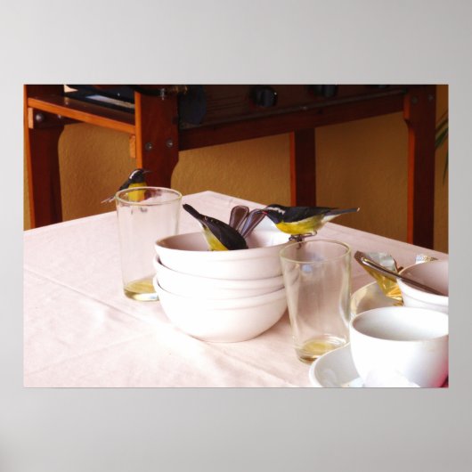 バナナビットの鳥コレバ・ファルベオラ ポスター (正面)