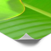 バナナフォールド ポスター (角)