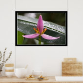 バナナフラワーポスター ポスター (キッチン)