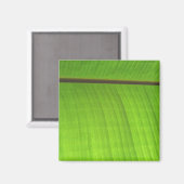 バナナリーフクローズアップ マグネット (正面/裏面)