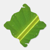 バナナリーフマクロ フェイバーボックス (折り畳みなし)