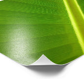 バナナリーフマクロ フォトプリント            (角)