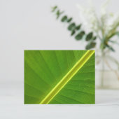 バナナリーフマクロ ポストカード (スタンド正面)