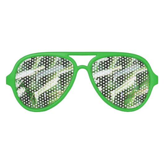 バナナリーフ包まれたパケット アビエーターサングラス (正面)