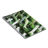 バナナリーフ包まれたパケット ノートブック (右側)