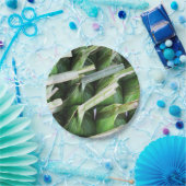 バナナリーフ包まれたパケット ペーパープレート (パーティー)