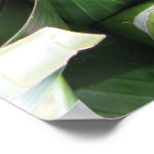 バナナリーフ包まれたパケット ポスター (角)