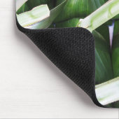 バナナリーフ包まれたパケット マウスパッド (コーナー)