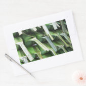 バナナリーフ包まれたパケット 長方形シール (封筒)