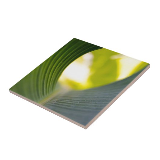 バナナリーフ タイル (側面)