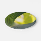 バナナリーフ ペーパープレート (アングル)