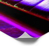 (バナナリーフ)ポスタープリント ポスター (角)