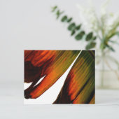 バナナリーフ ポストカード (スタンド正面)