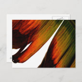 バナナリーフ ポストカード (正面/裏面)