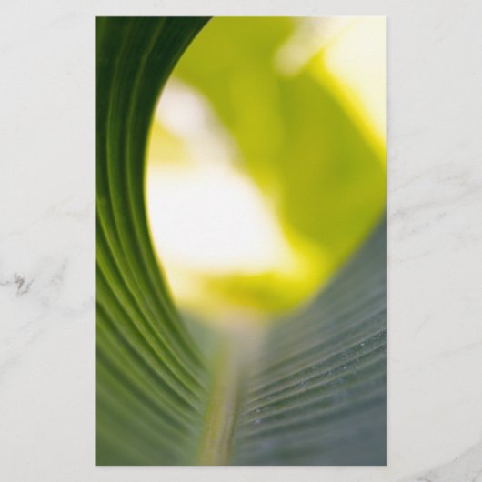 バナナリーフ 便箋 (正面)