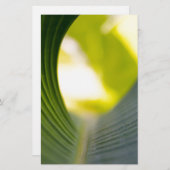 バナナリーフ 便箋 (正面/裏面)