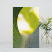 バナナリーフ 便箋 (スタンド正面)