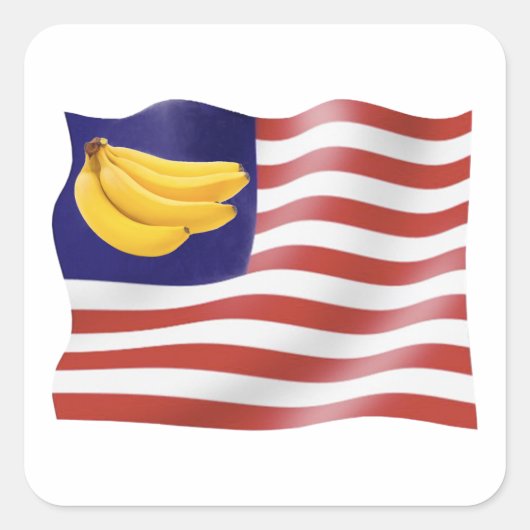 バナナ共和国 スクエアシール (正面)