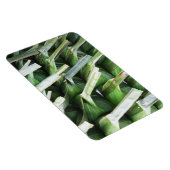 バナナ包まれたリーフパケット マグネット (右側)