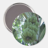 バナナ磁石 マグネット (正面/裏面)