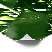 バナナ葉グリーンモノマ絵画ー ポスター (コーナー)