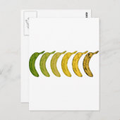 バナナ進化 ポストカード (正面/裏面)