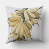 バナナ1816年 クッション (裏面)