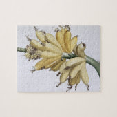 バナナ1816年 ジグソーパズル (横)