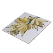 バナナ1816年 タイル (側面)