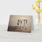 バナナ カード (黄色い花)