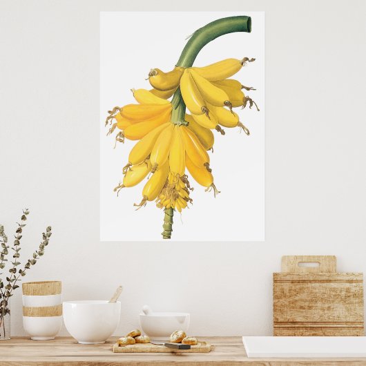 バナナ ポスター (キッチン)