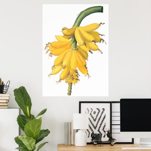 バナナ ポスター (ホームオフィス)