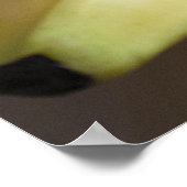 バナナ ポスター (角)