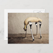 バナナ ポストカード (正面/裏面)