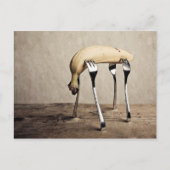 バナナ ポストカード (正面)