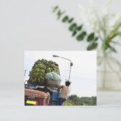 バナナ ポストカード (スタンド正面)