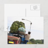 バナナ ポストカード (正面/裏面)