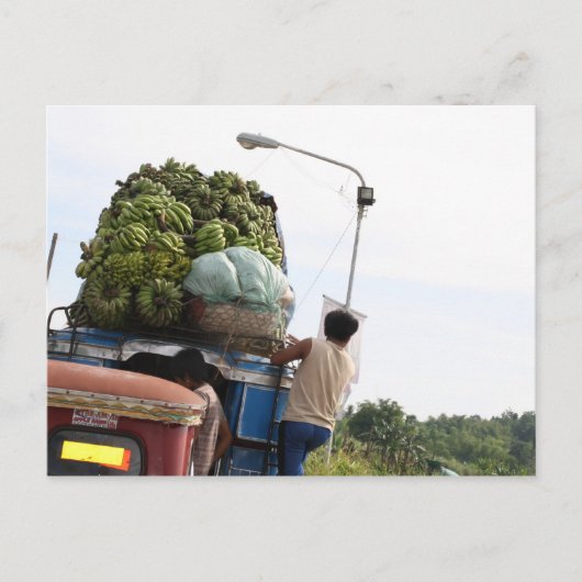 バナナ ポストカード (正面)