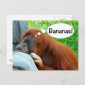 バナナ！ ポストカード (正面/裏面)