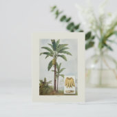 バナナ ポストカード (スタンド正面)